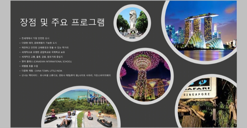 "scholarship in singapore for international students"