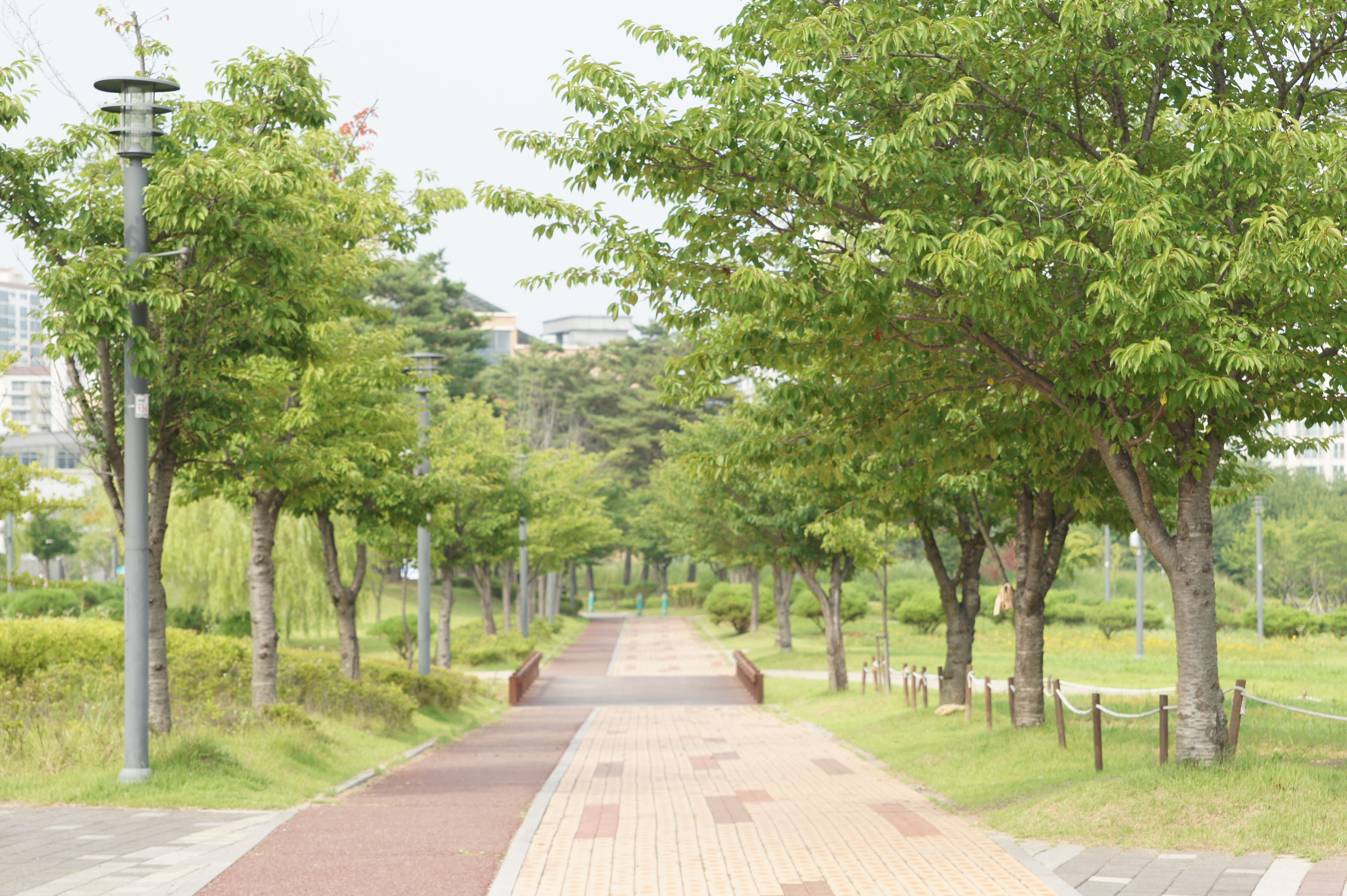 운정호수공원산책로 산책