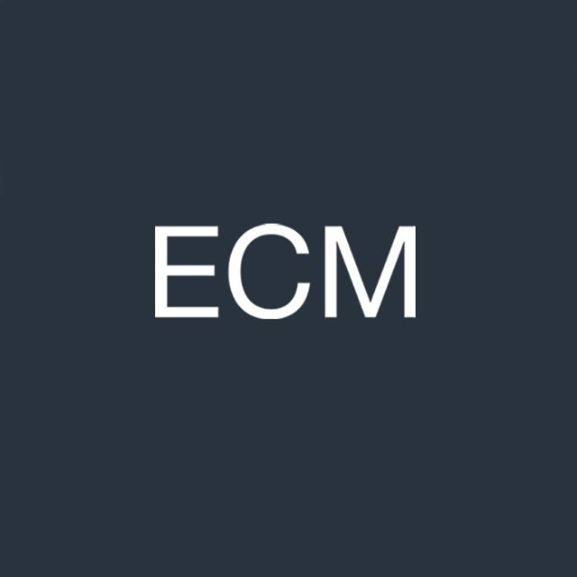 ECM - 블로그