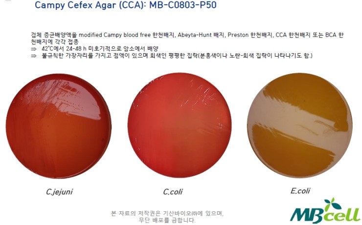 캠필로박터 제주니/콜리 (Campylobacter jejuni / coli ) 식품공전 시험법