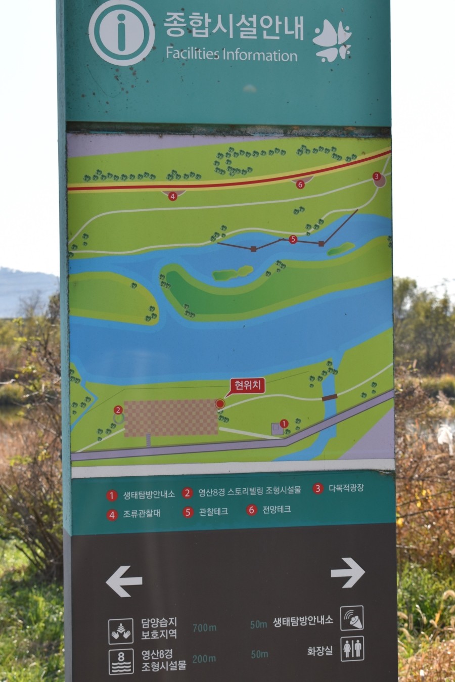 용산지구생태습지공원산책로 산책