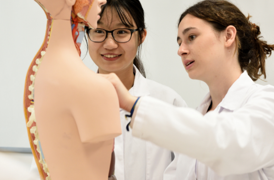 "medical university in singapore"