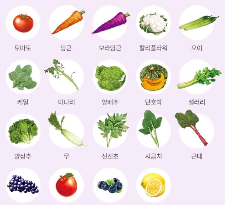 과일야채주스 맛있는 건강담은 야채과일 V19  & 야채가득 V19  굿~