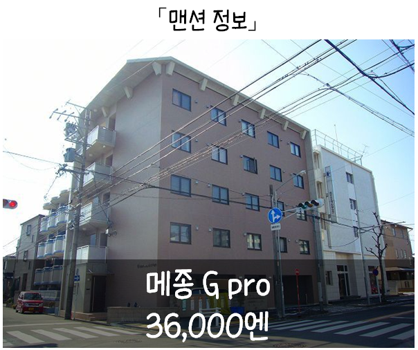 메종메이 이미지