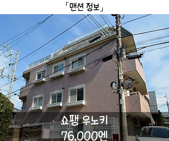 시와선 이미지