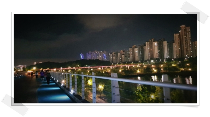 운정호수공원산책로 산책