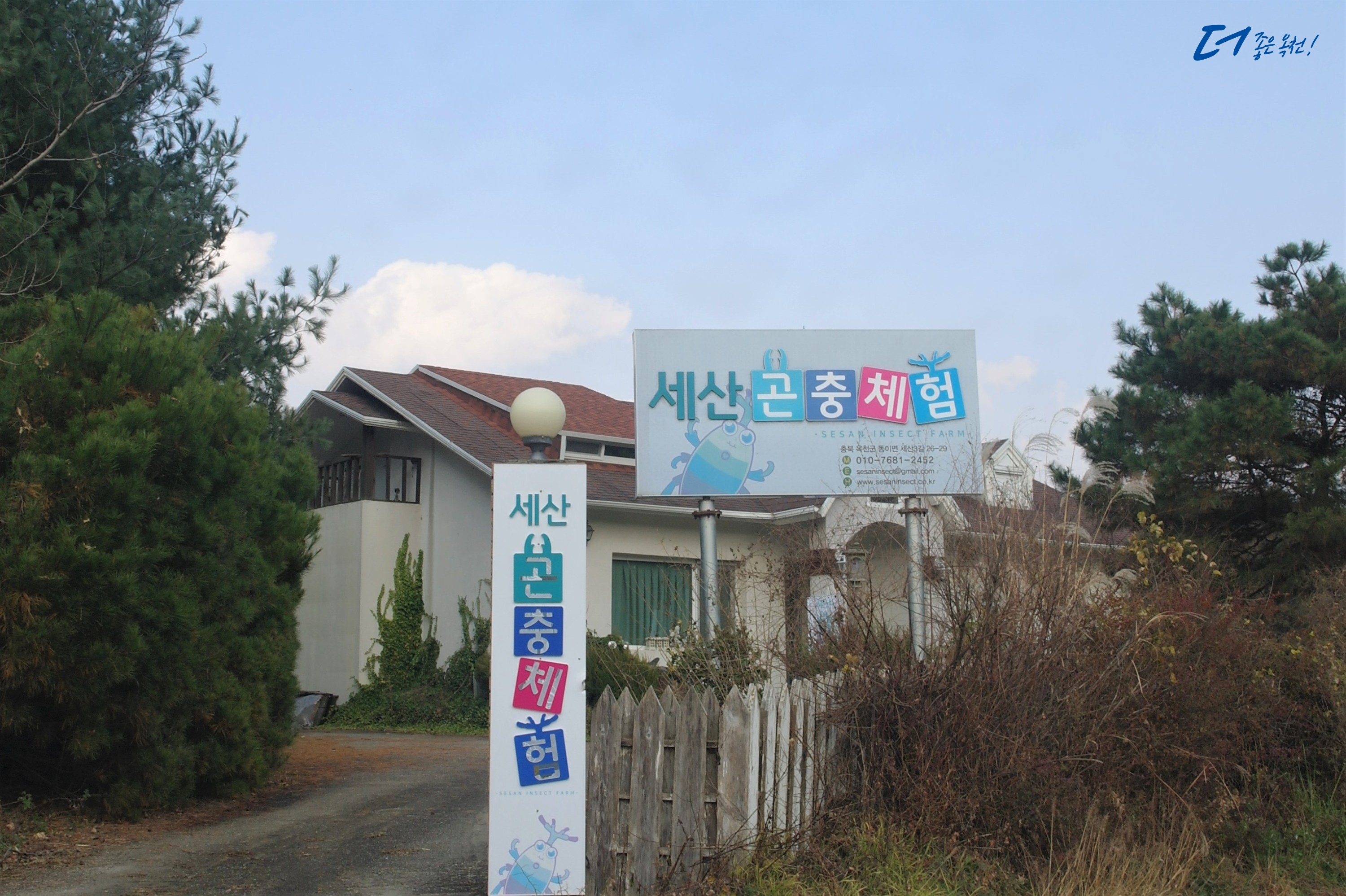 옥천 이미지