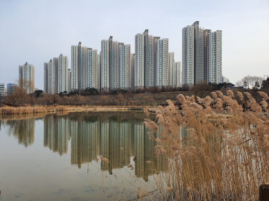 운정호수공원 반려견 산책