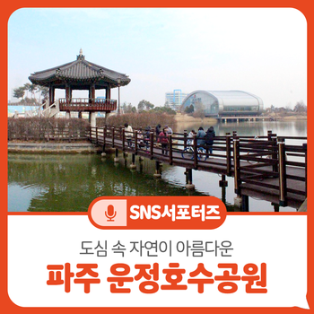 운정호수공원 반려견 산책