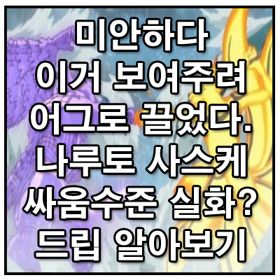 미안하다 이거 보여주려고 어그로 끌었다(나루토 사스케 싸움 수준)