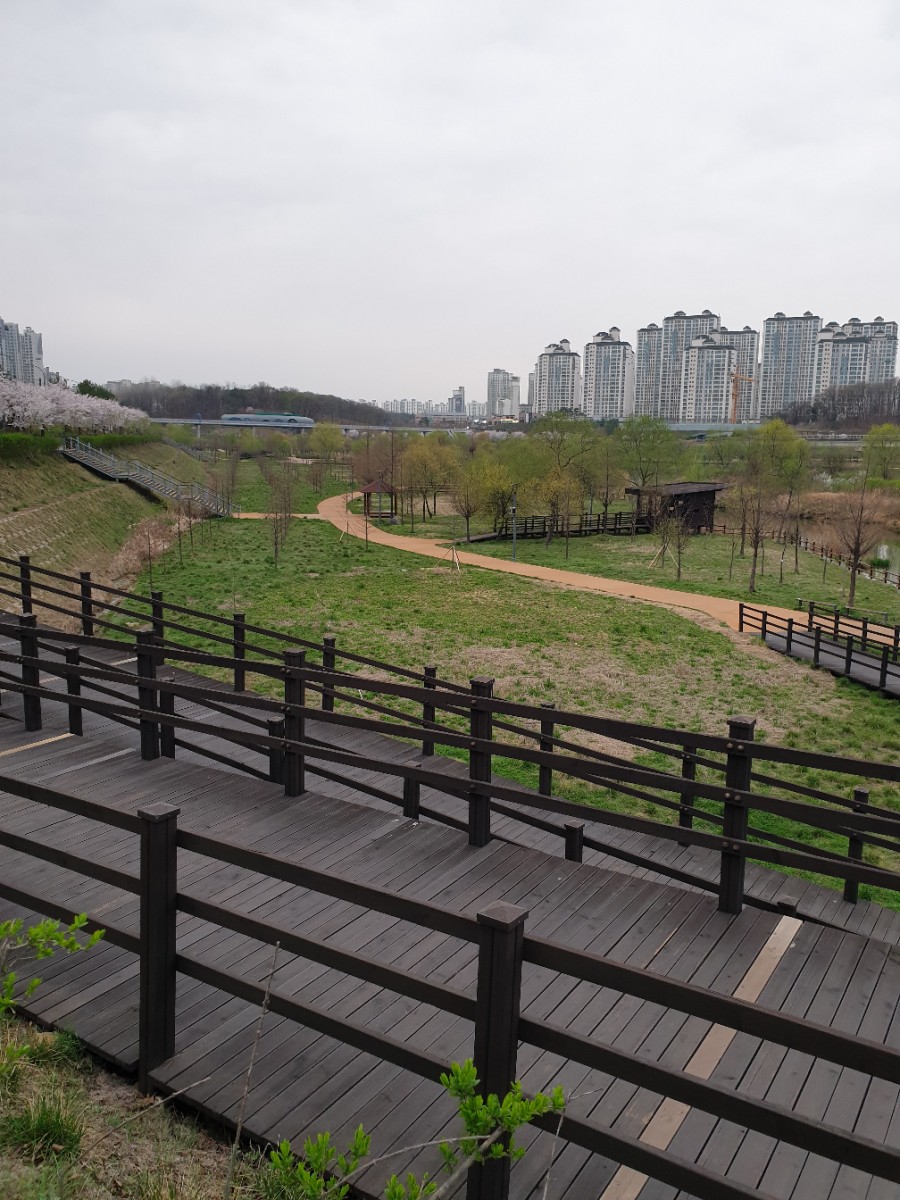 운정호수공원 산책