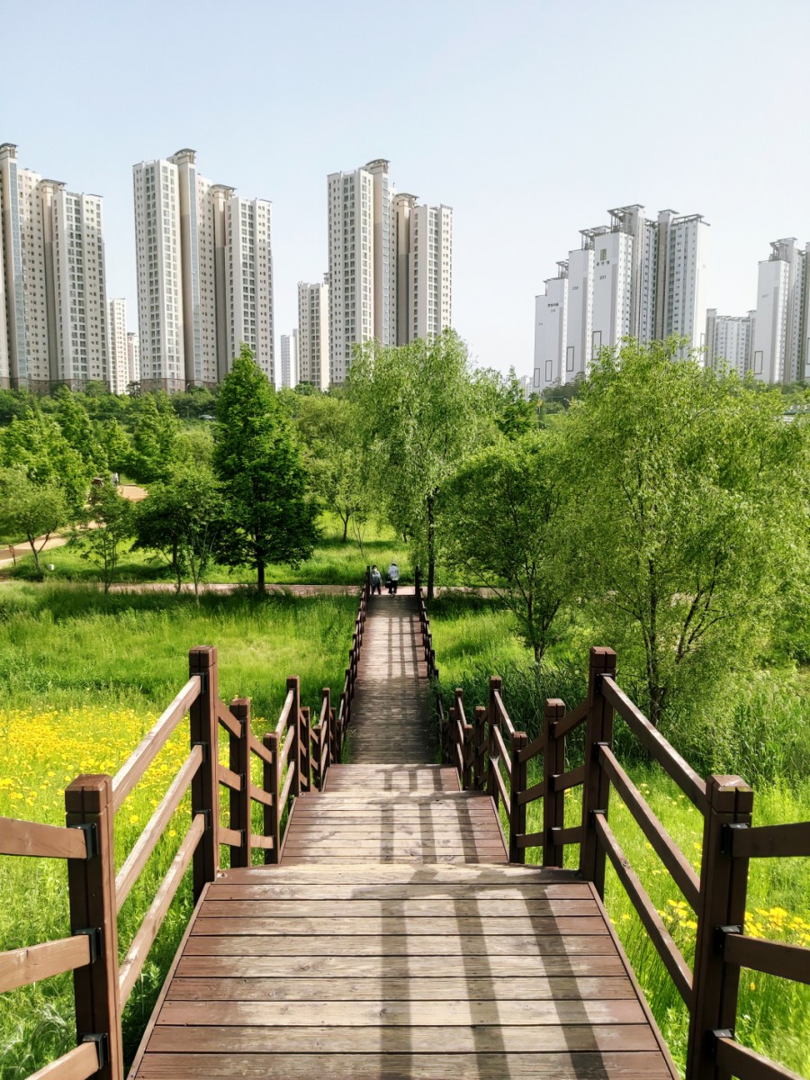 운정호수공원 반려견 산책