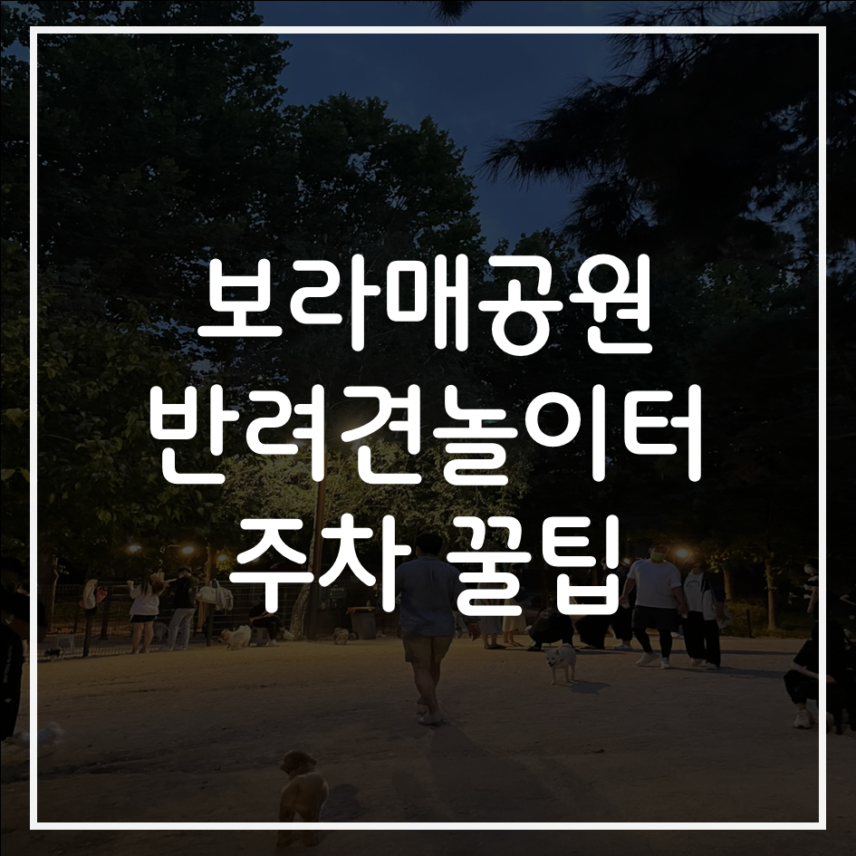 반려견공원앞공영주차장 산책