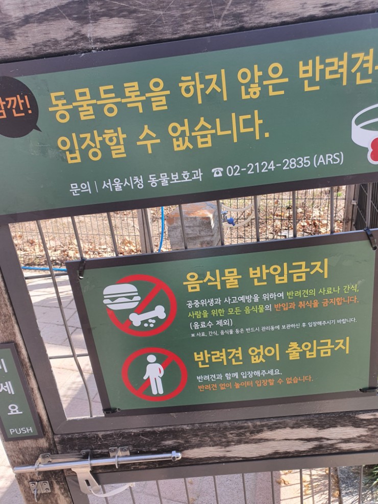 반려견공원앞공영주차장 산책