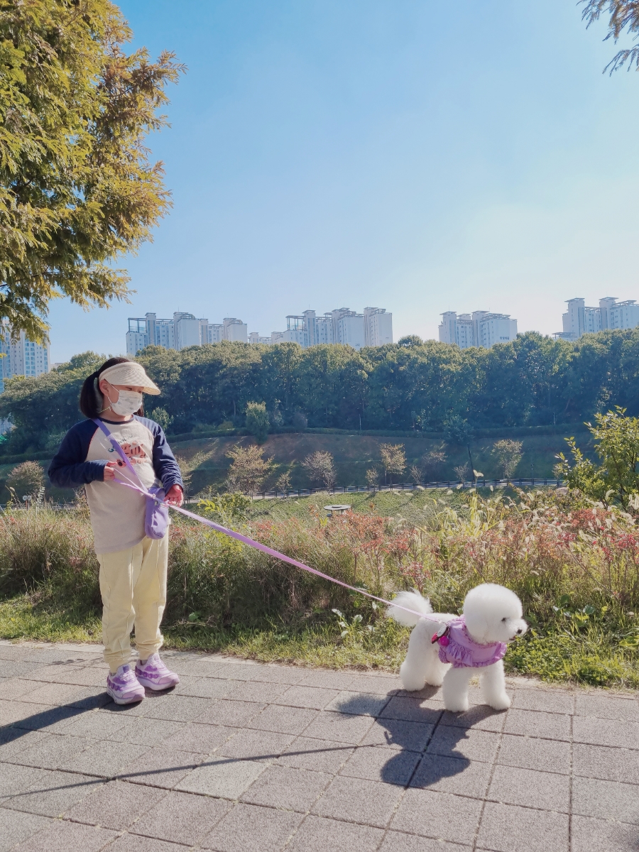 운정호수공원산책로 반려견 산책