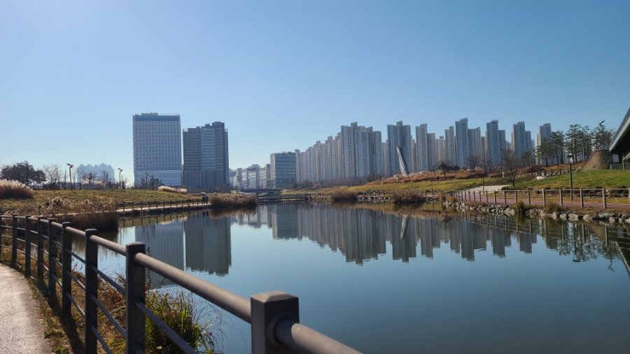 운정호수공원 반려견 산책