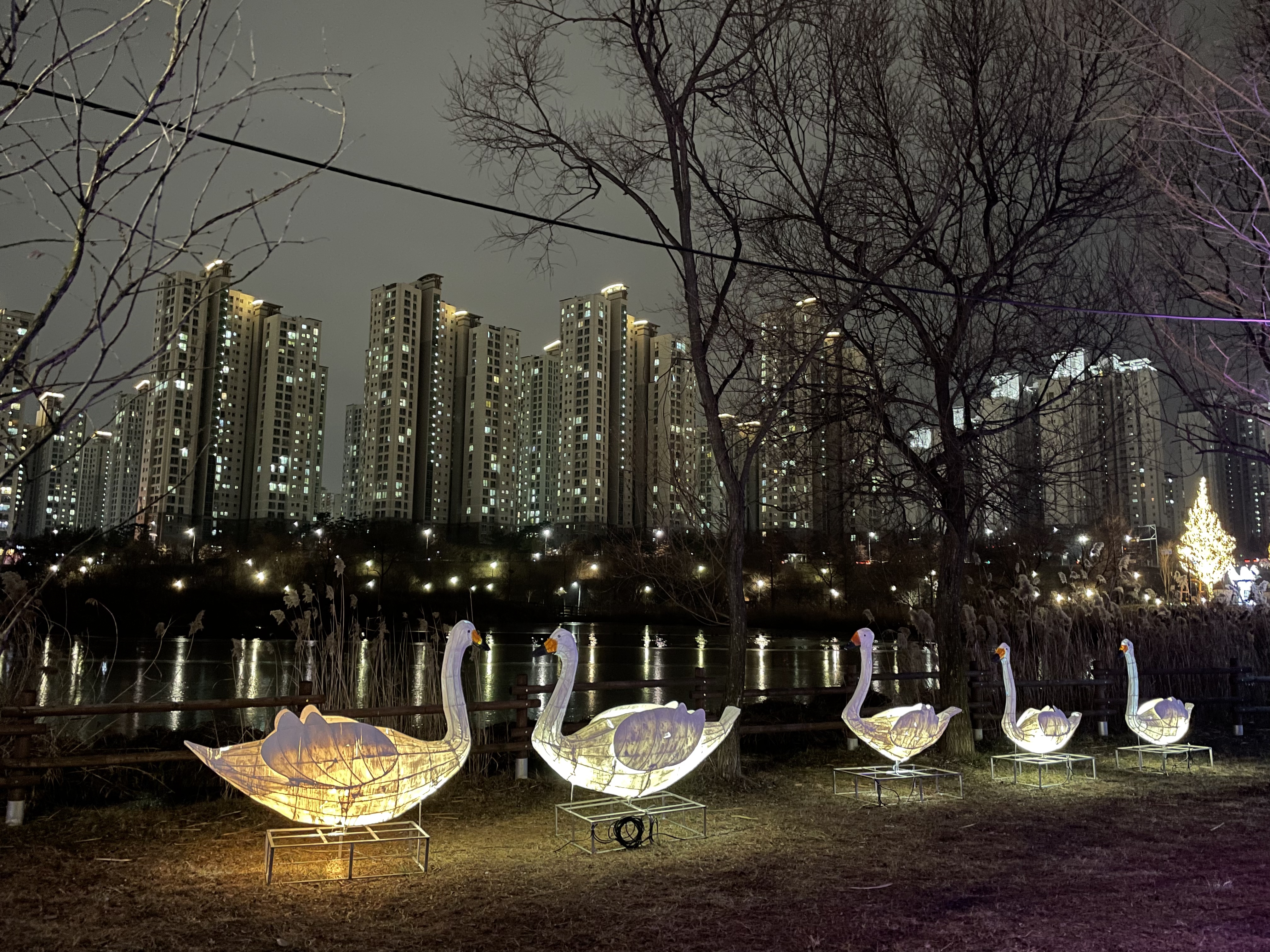 운정호수공원 산책