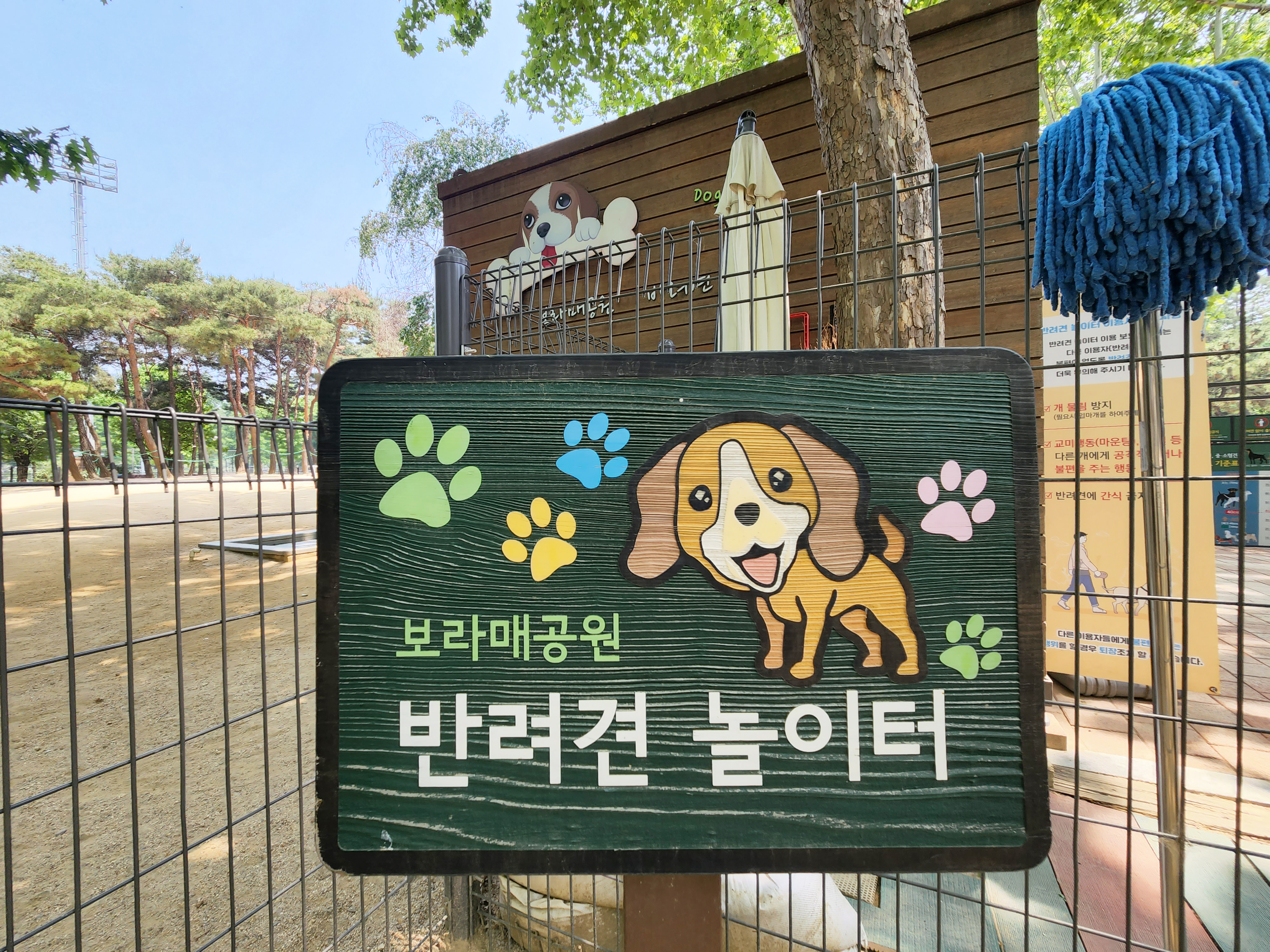 반려견공원앞공영주차장 산책