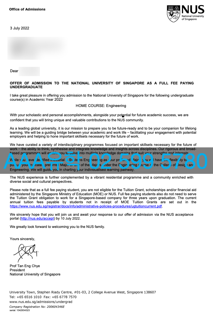 "national university of singapore certificate"
