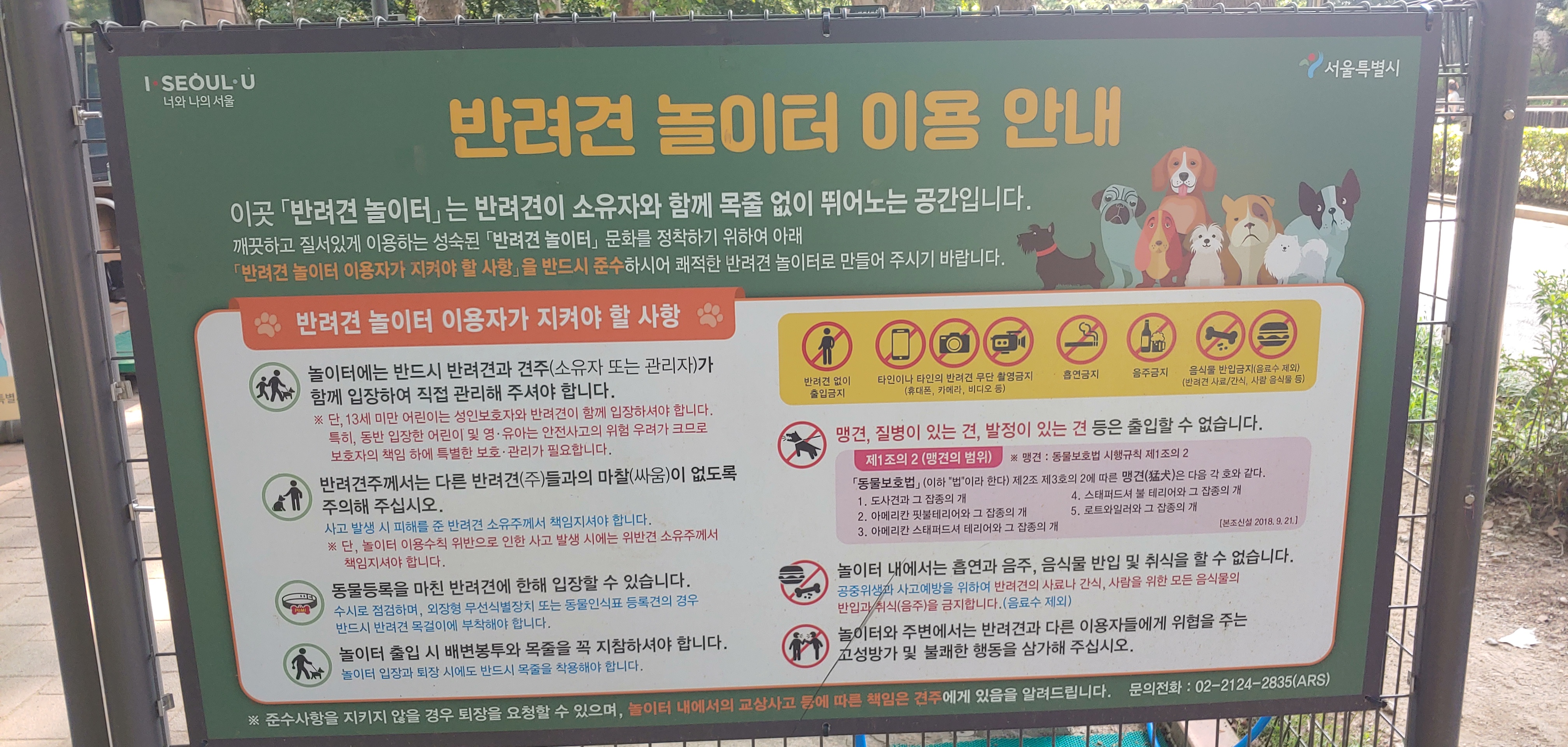 반려견공원앞공영주차장 산책