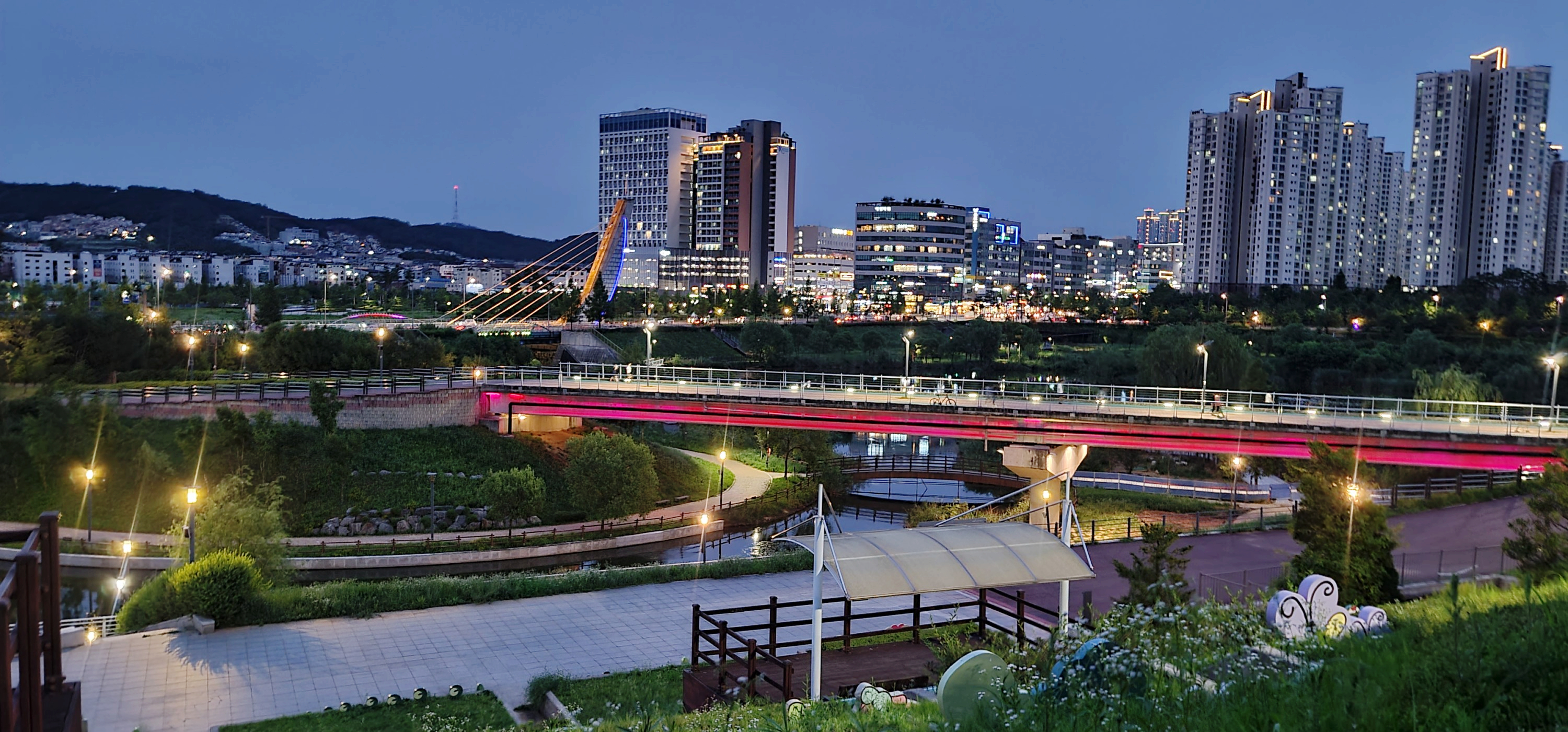 운정호수공원산책로 반려견 산책