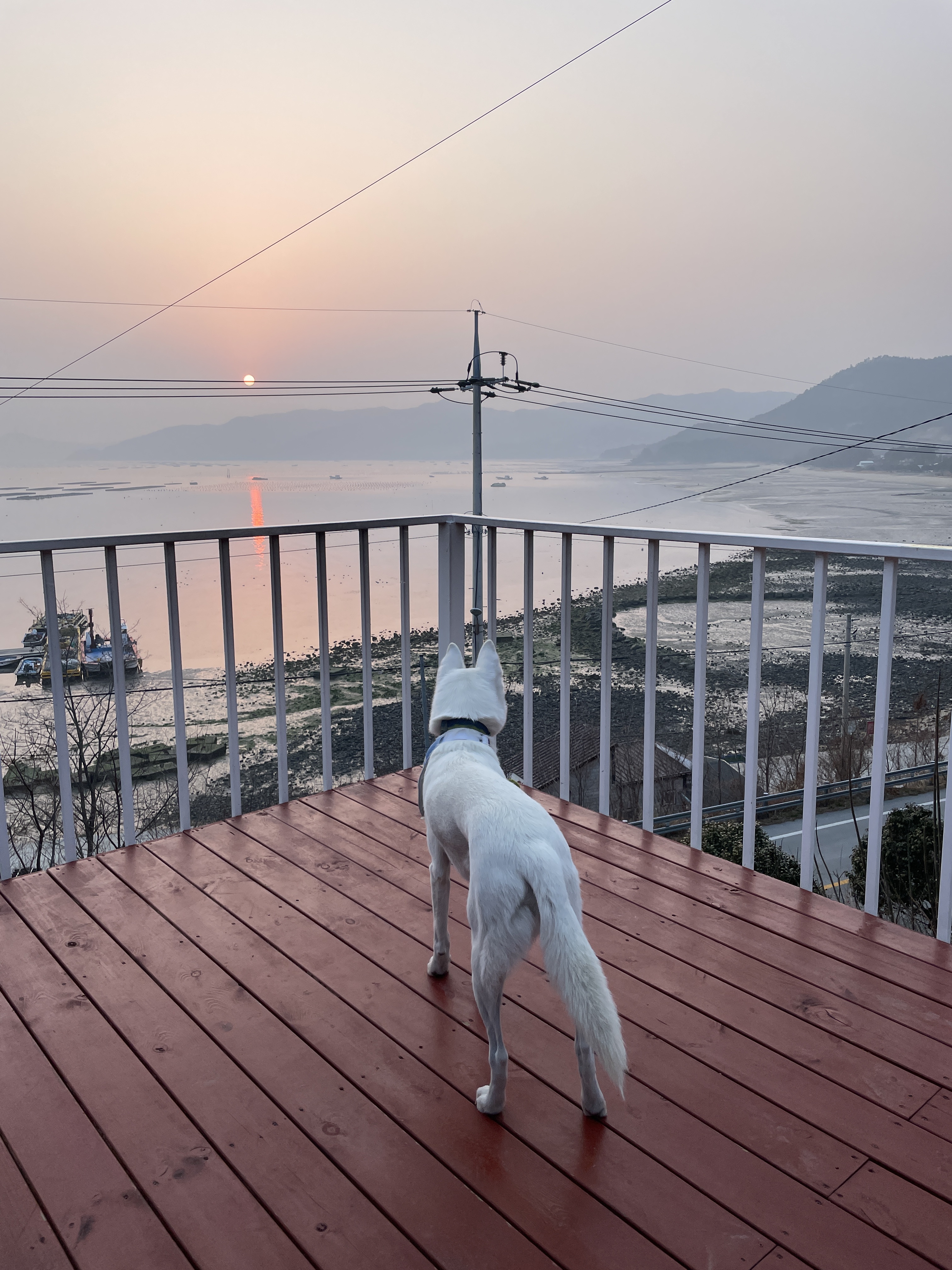 용산지구생태습지공원산책로 산책
