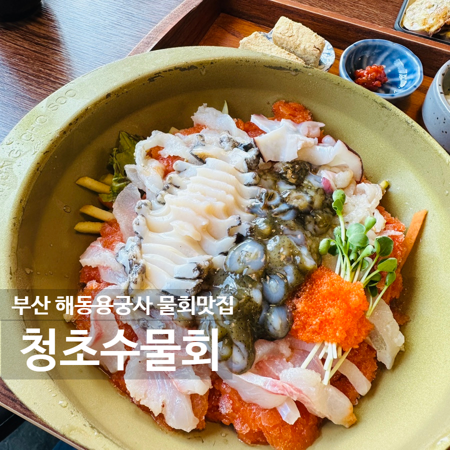 장소 이미지