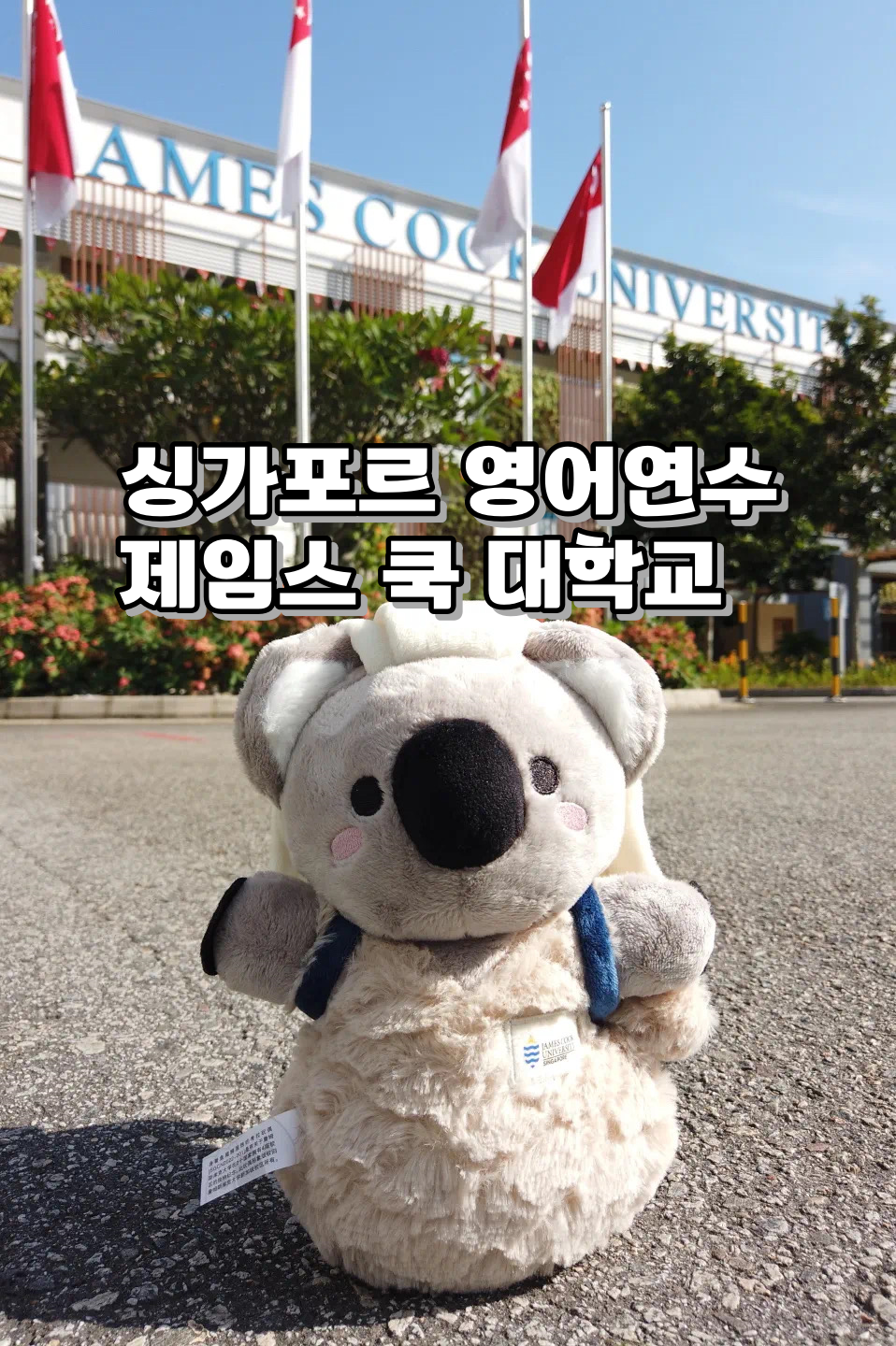 "How good is James Cook University in Singapore ?"