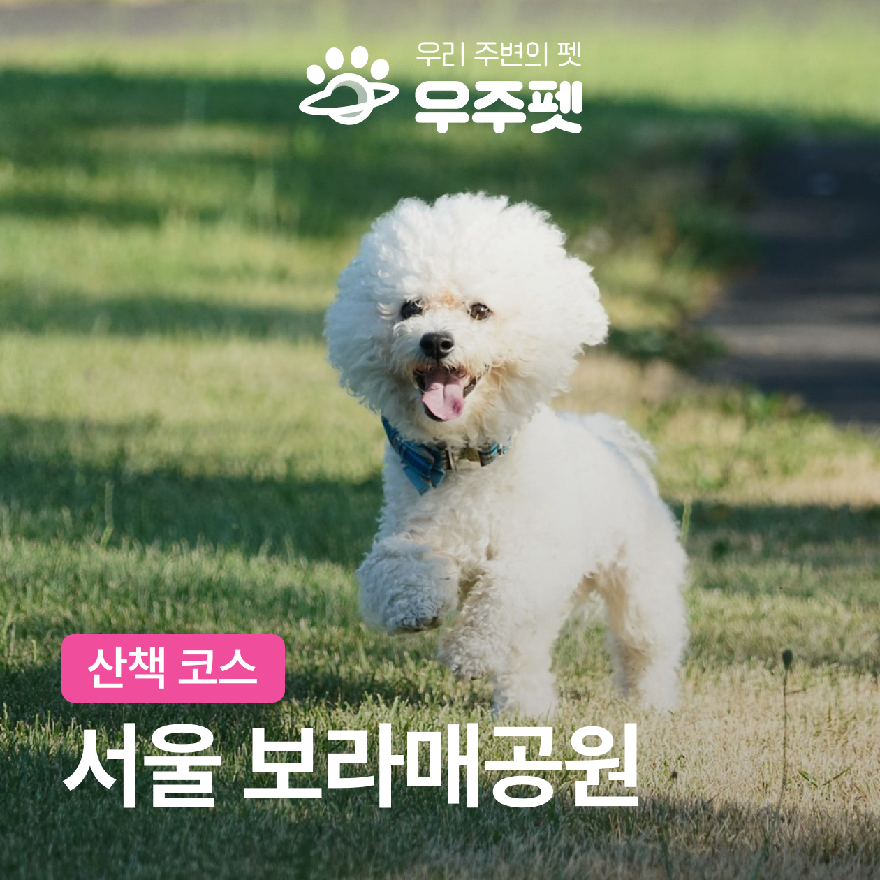 반려견공원앞공영주차장 산책