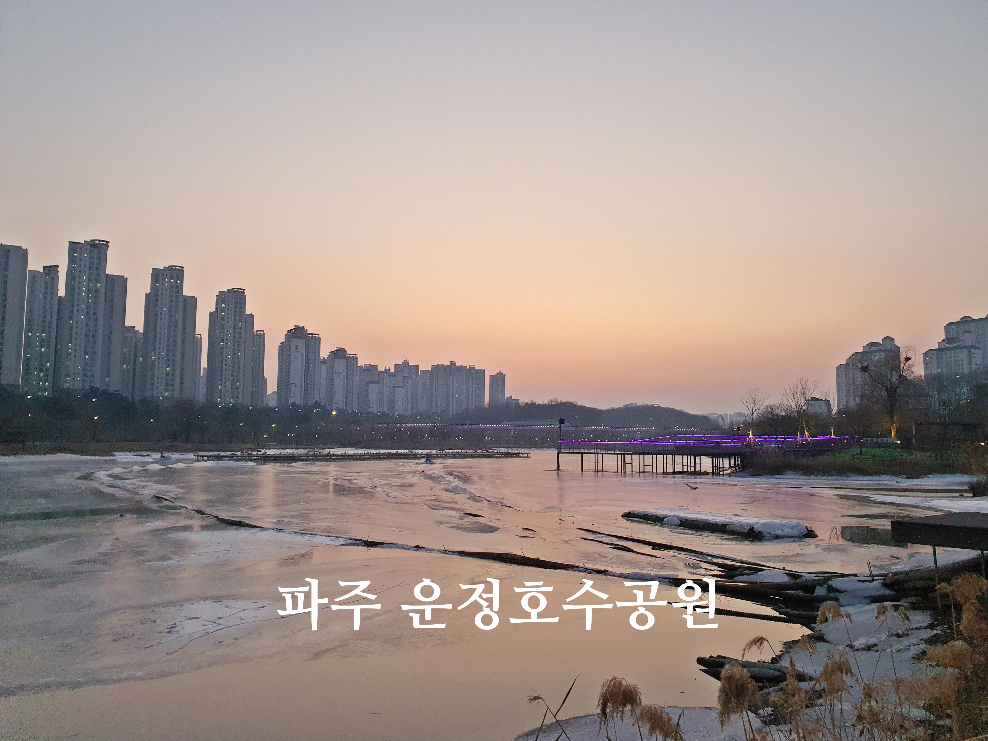 운정호수공원 반려견 산책
