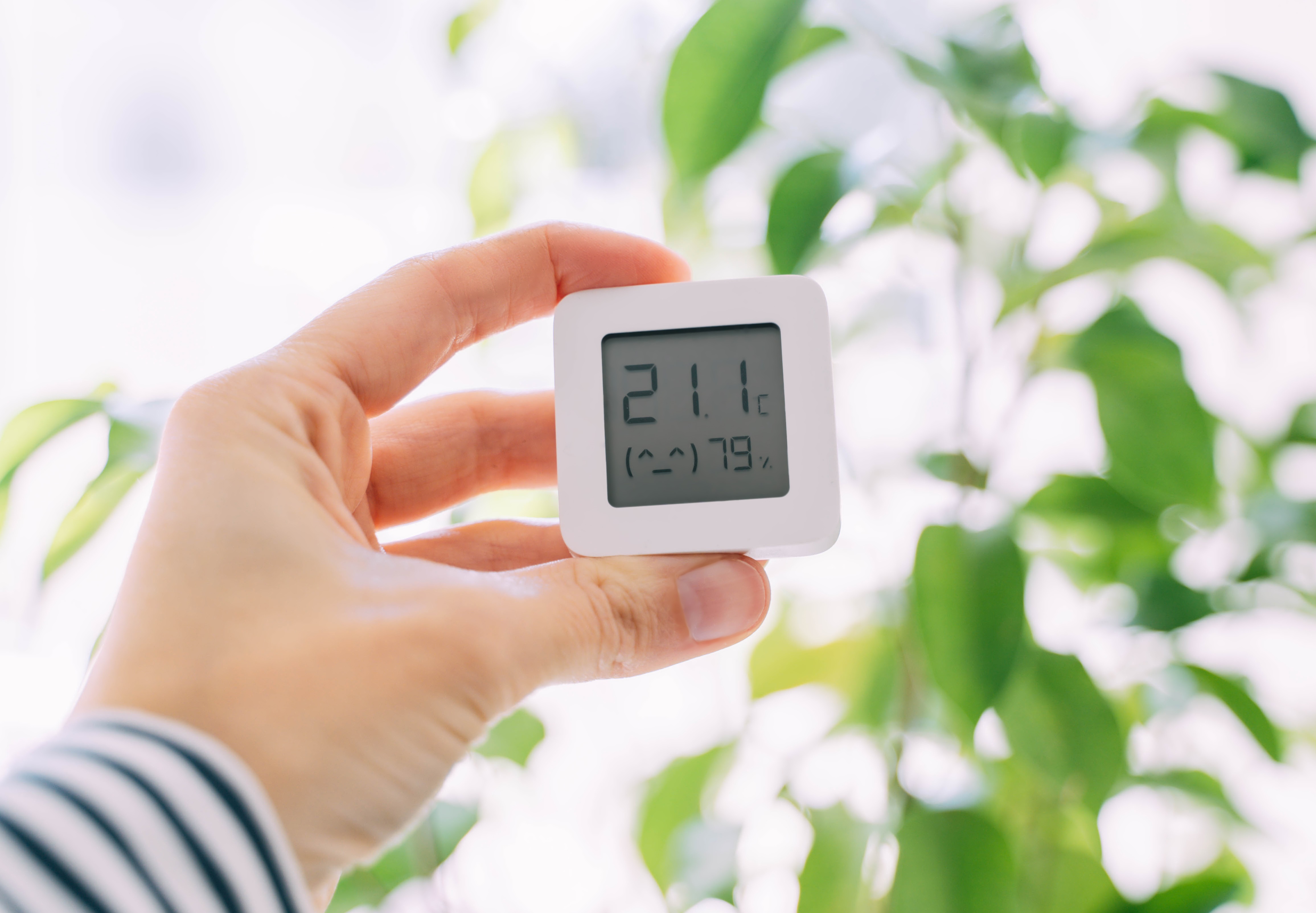temperature-and-humidity-meter-in-hand-at-home-2023-02-22-01-39-51-utc.jpg