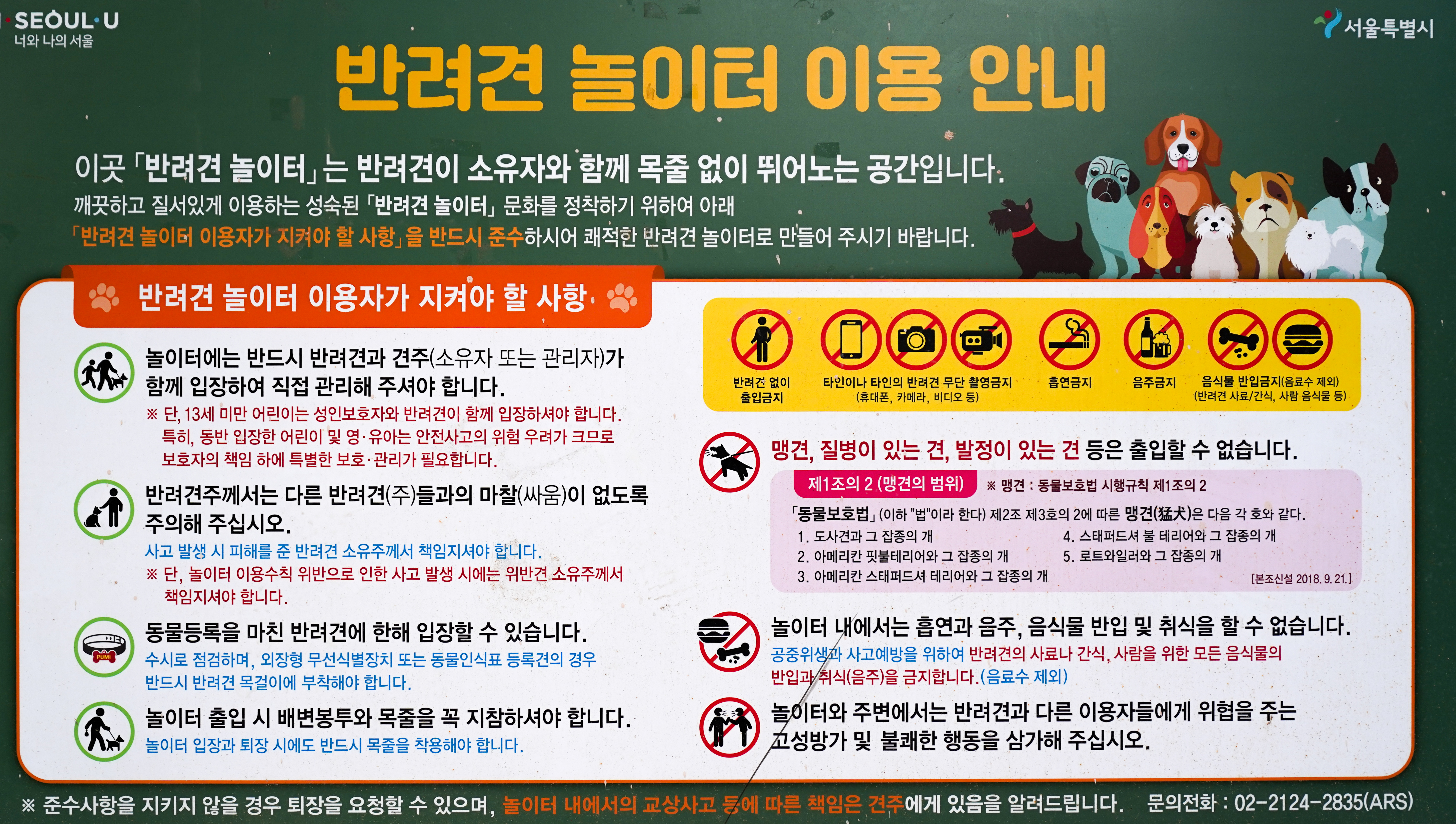 반려견공원앞공영주차장 산책