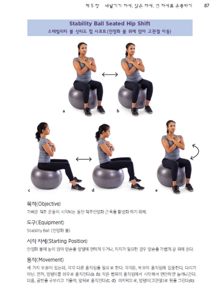 허리운동 (Back Exercise)[안정화하기, 움직이기, 통증 줄이기]