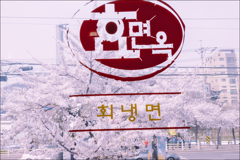 효면옥 신사본점 이미지 21