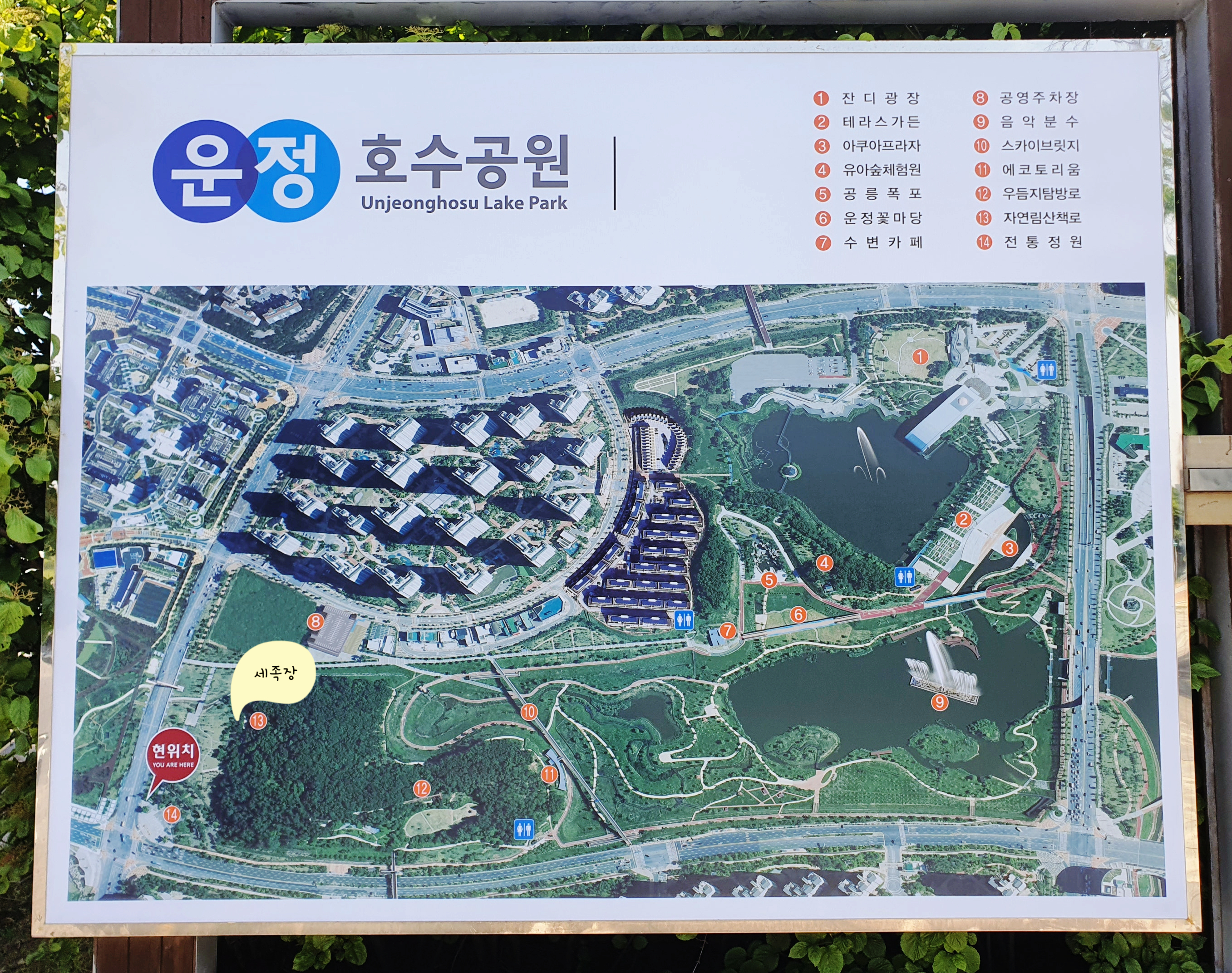 운정호수공원산책로 산책