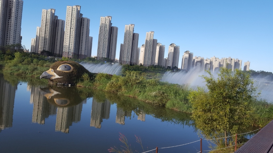 운정호수공원 반려견 산책