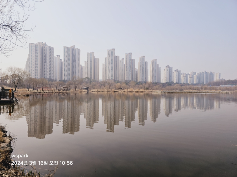 운정호수공원산책로 반려견 산책