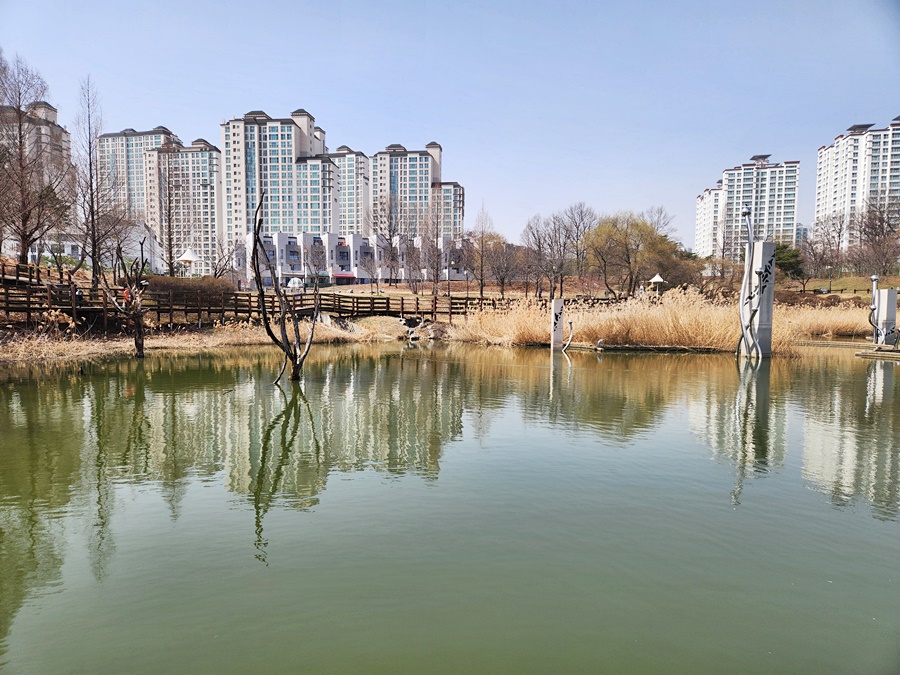 운정호수공원 반려견 산책