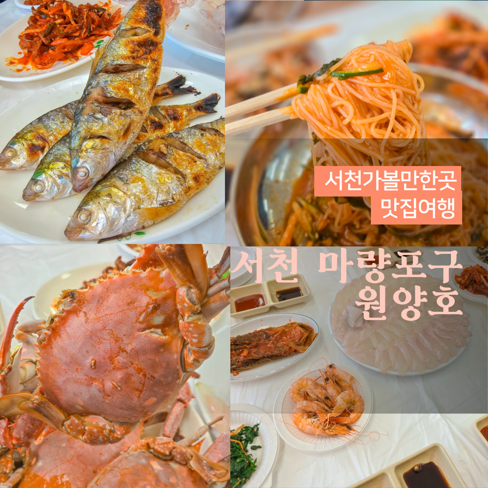 원양호 이미지 17
