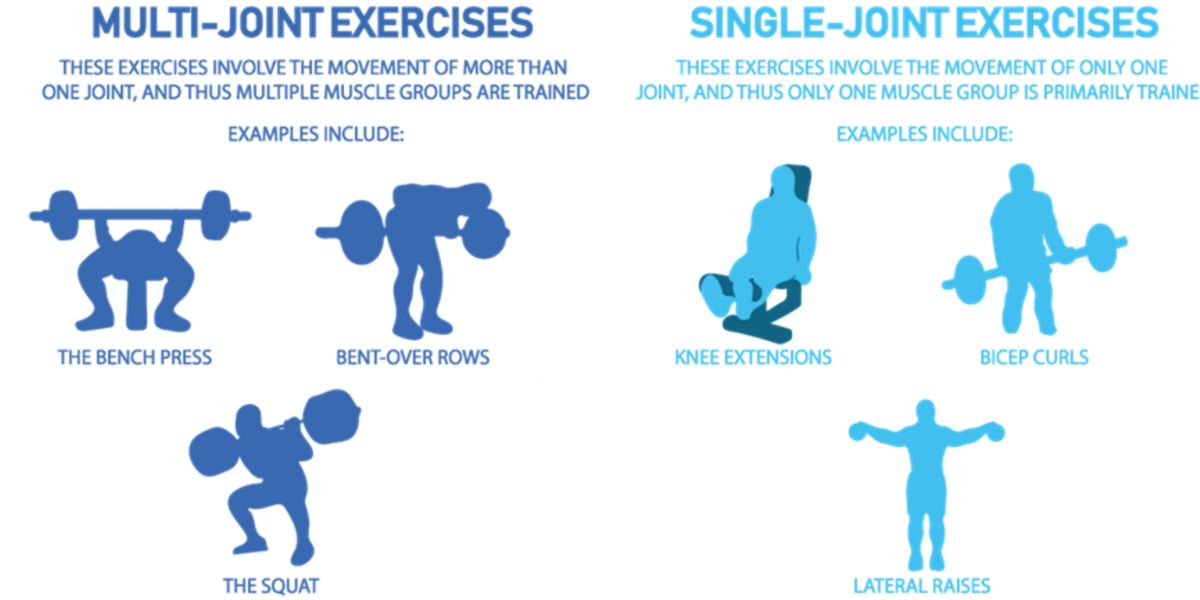 multi-mono-joint-exercises.jpg