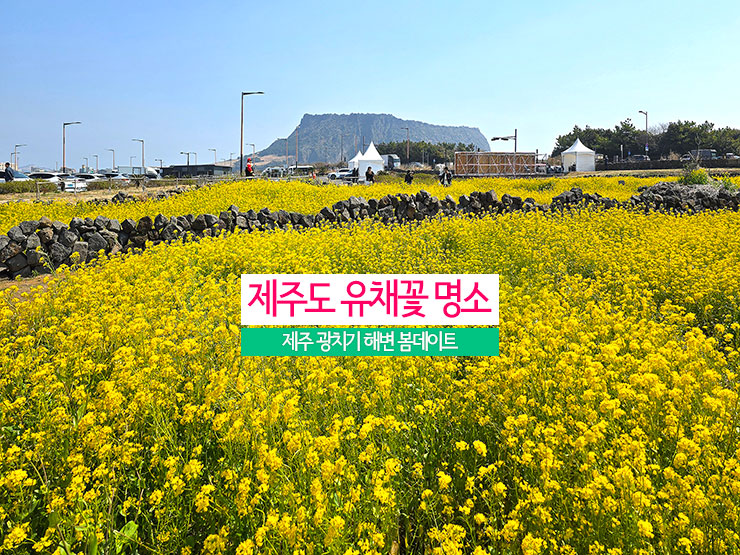 장소 이미지