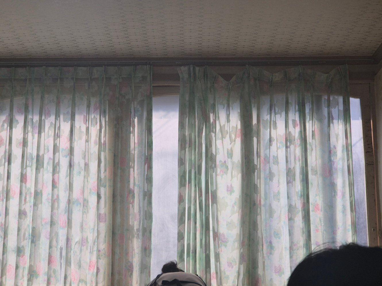 태동반점 이미지 6