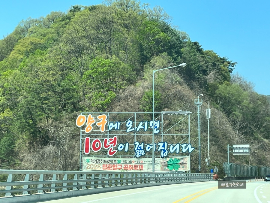양구백자박물관 이미지 22