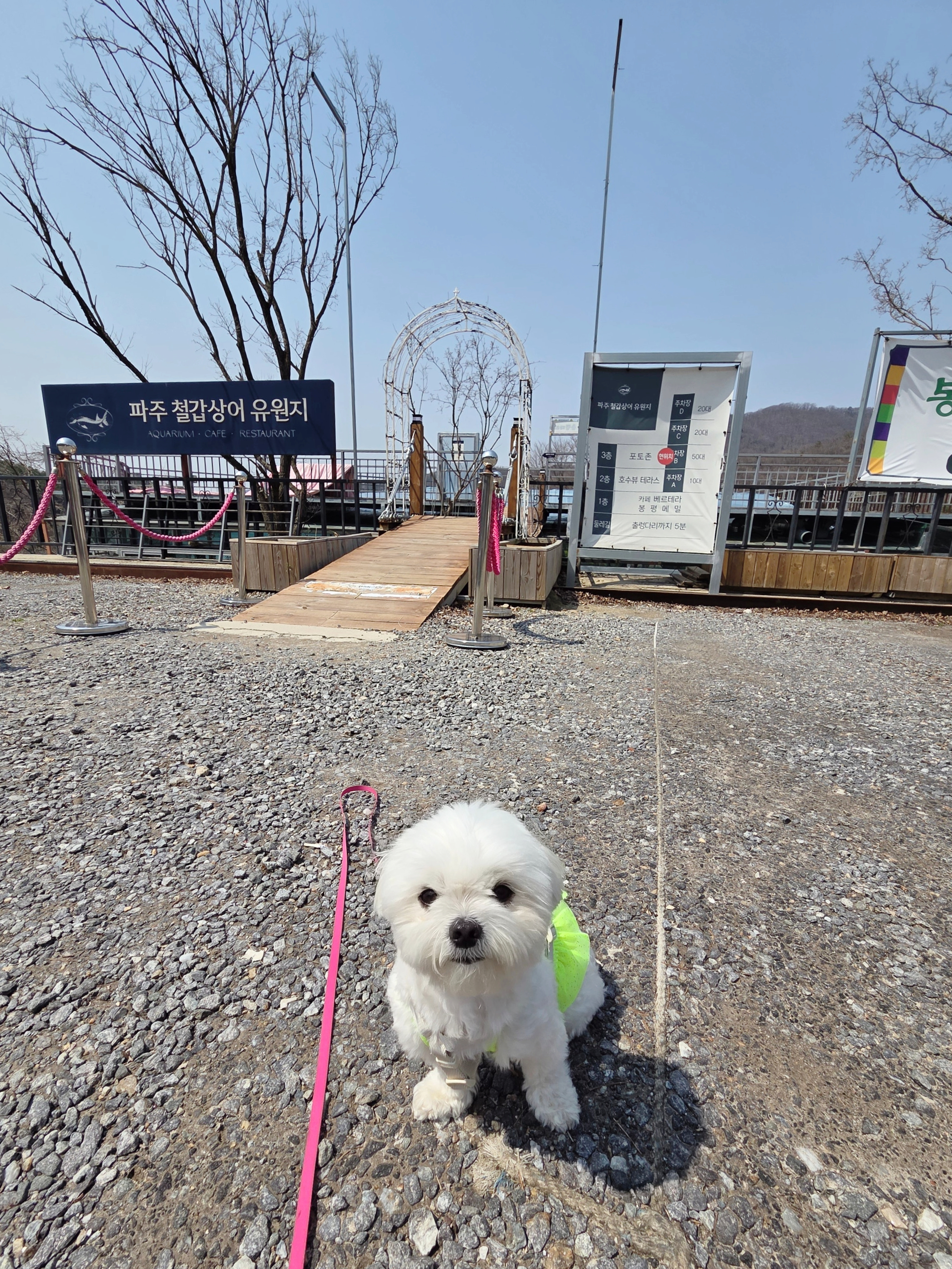 마장호수 출렁다리 이미지 24