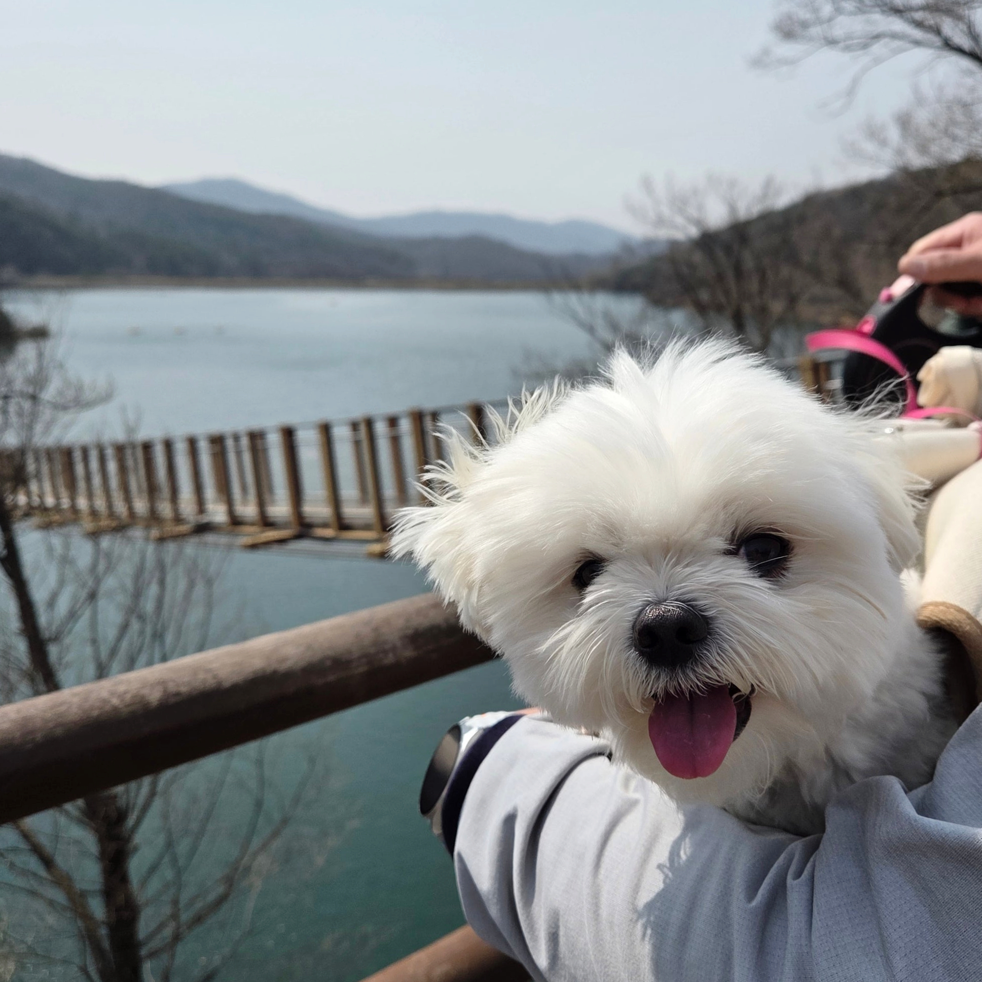 마장호수 출렁다리 이미지 21