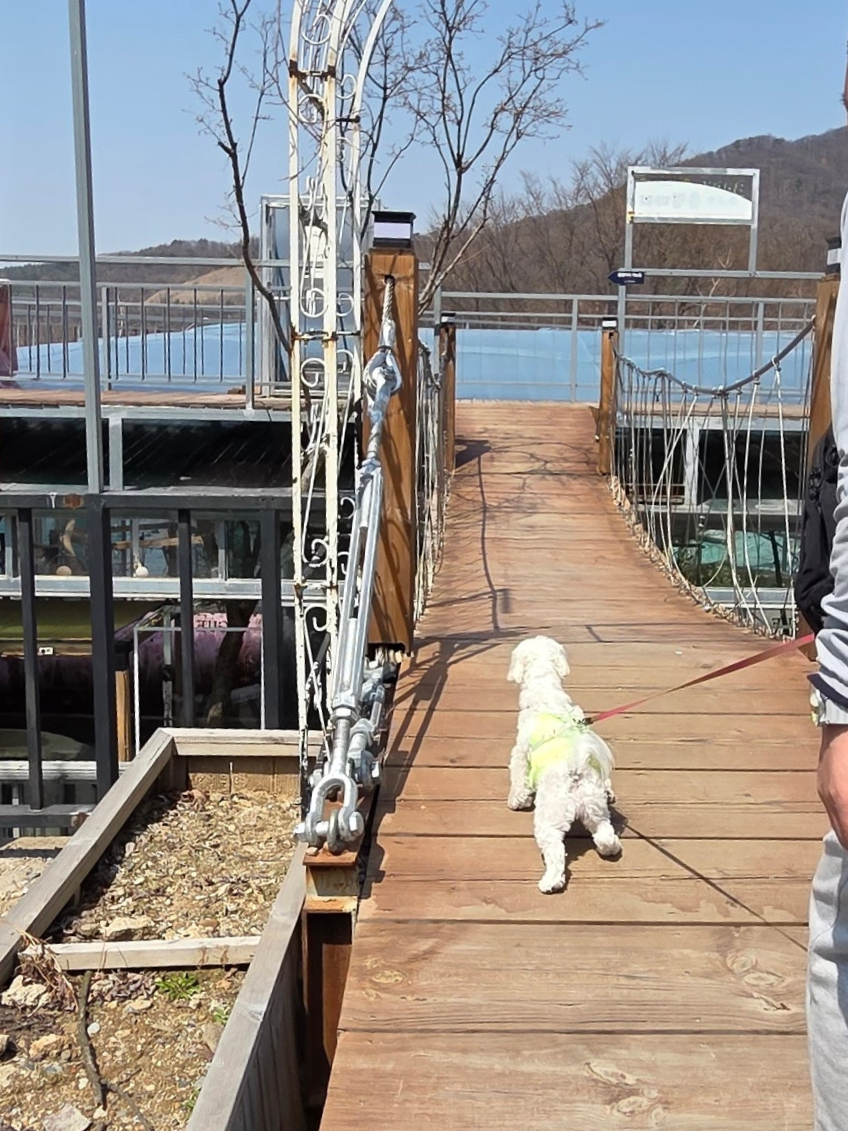 마장호수 출렁다리 이미지 25