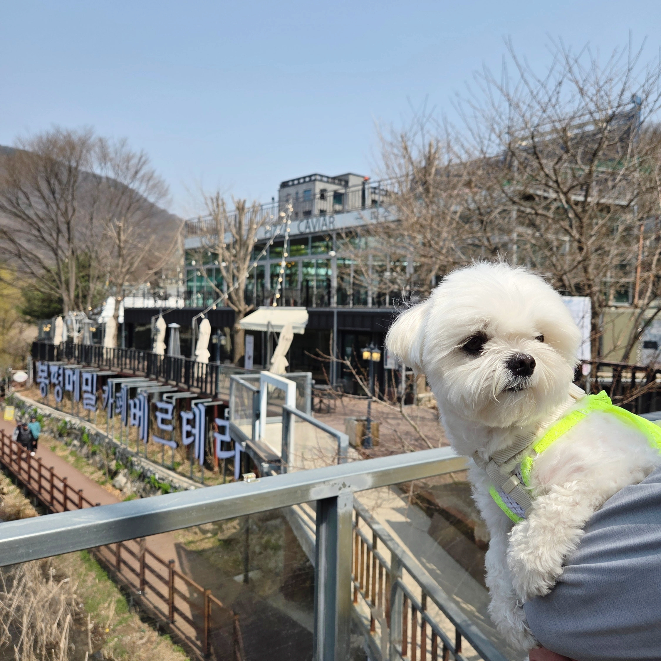 마장호수 출렁다리 이미지 26