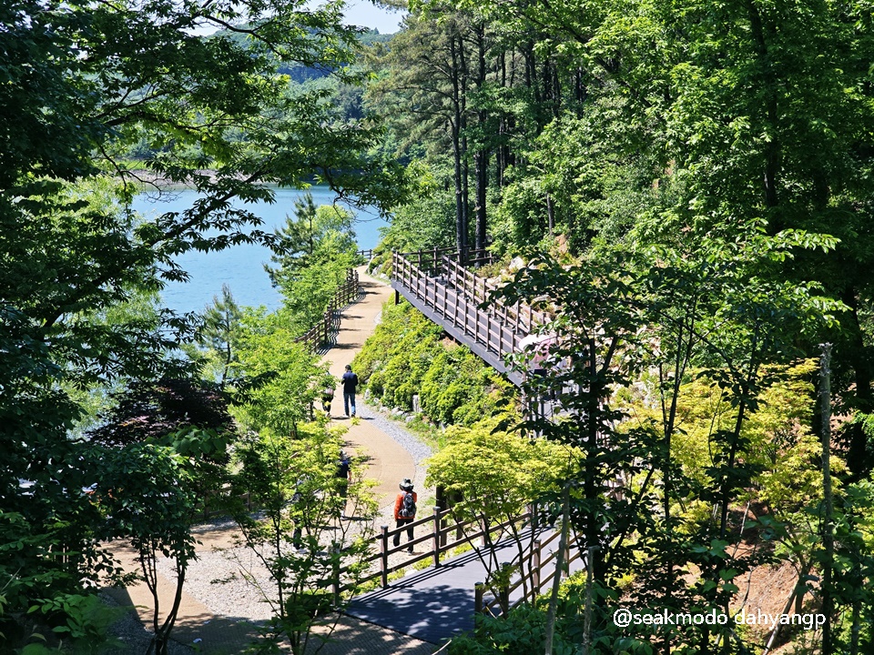마장호수 출렁다리 이미지 12