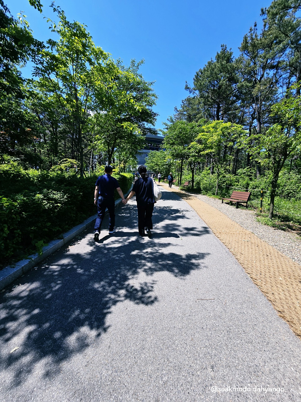 마장호수 출렁다리 이미지 13