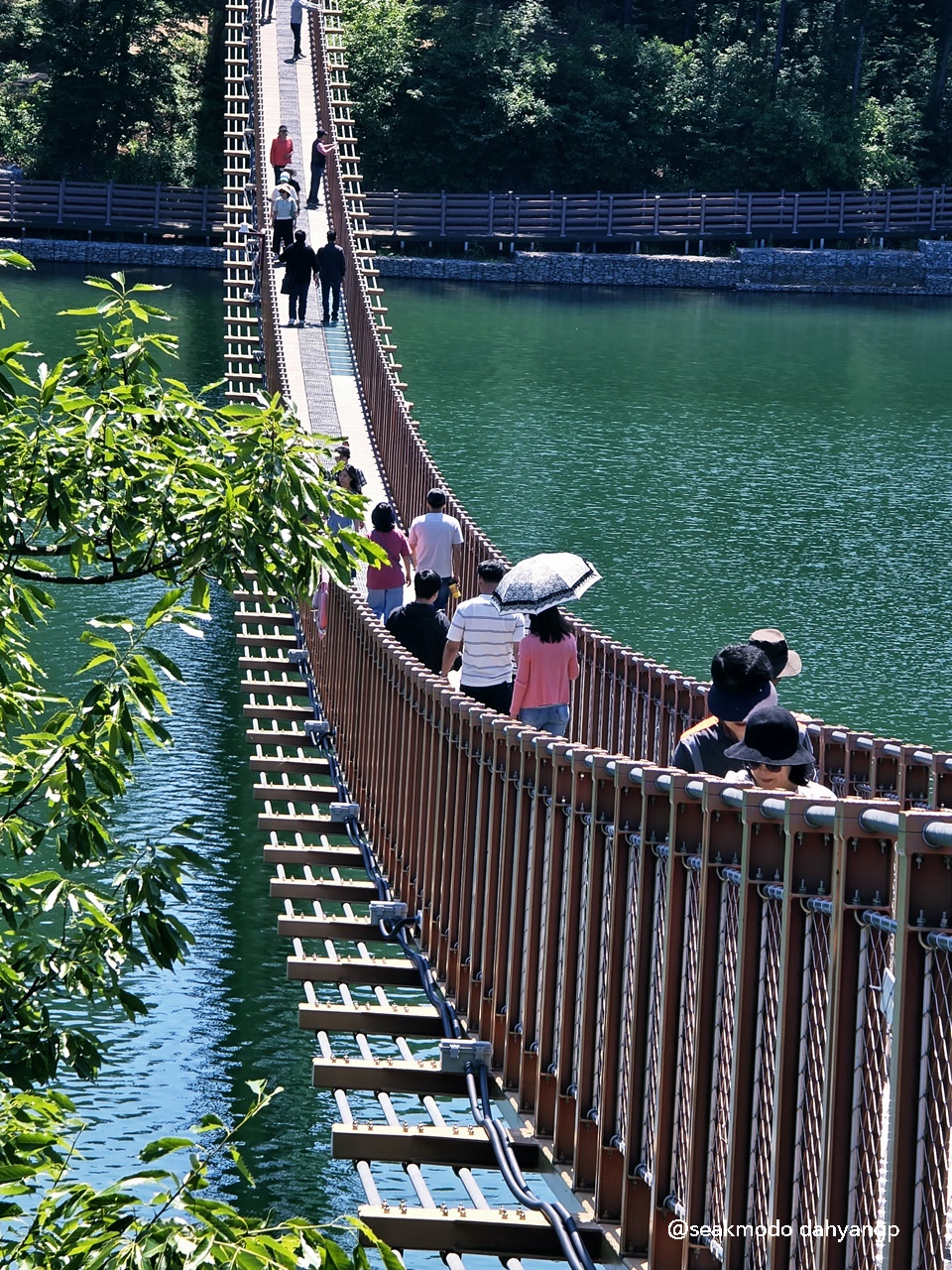 마장호수 출렁다리 이미지 11